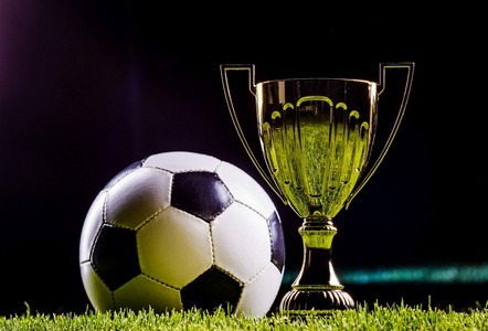 而非以暴制 而非以暴制